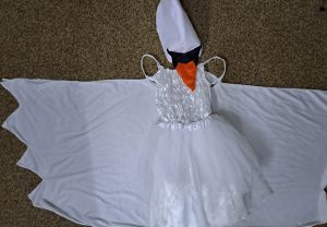 Kids Costumes to Hire - Swan - white dress & headpce - SMALL 